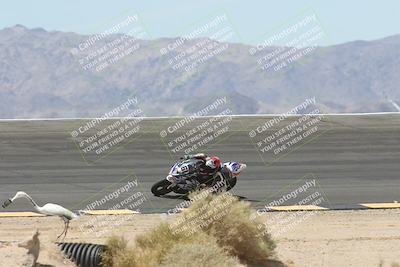 media/Apr-20-2025-CVMA (Sun) [[39090e8767]]/Race 12- Formula 40 MW and LW/